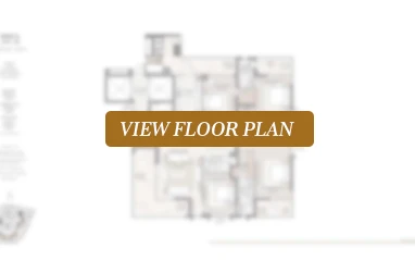 TULIP Monsella ground floor plan